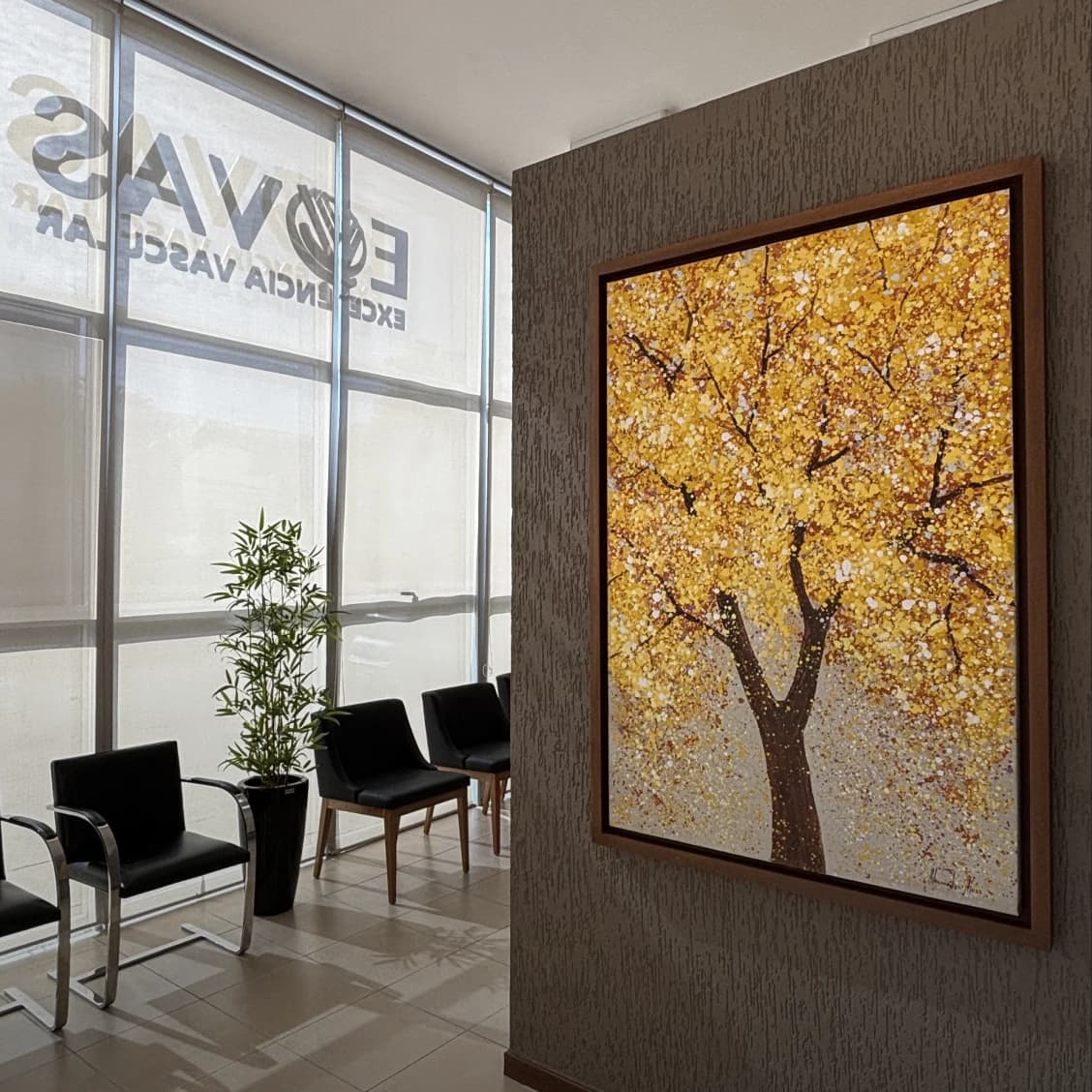 Ambiente da Clínica EVAS